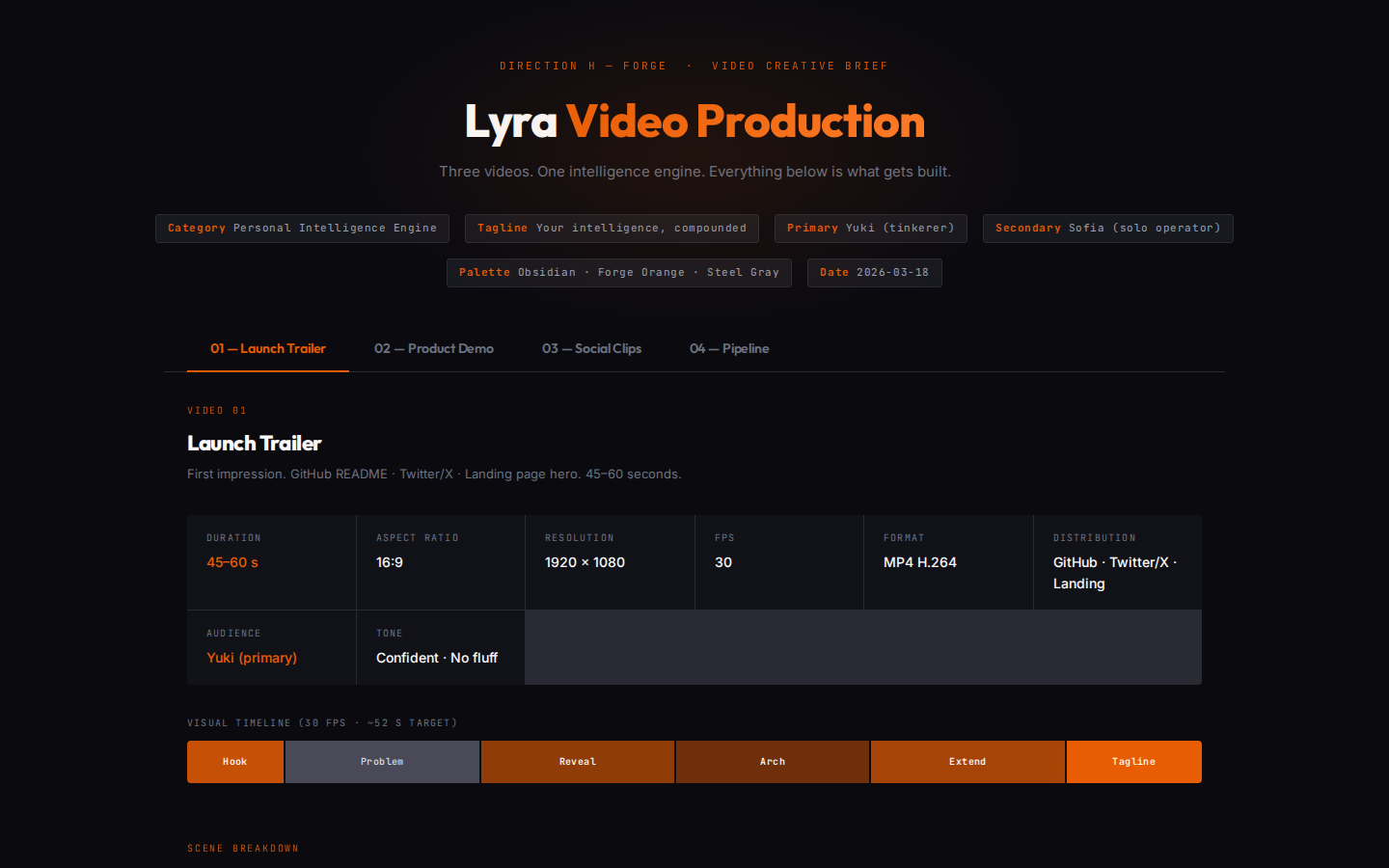 Video brief
